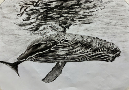 Whale in Charcoal