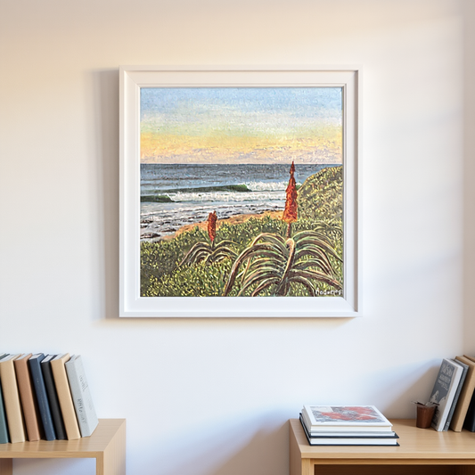 Jeffrey's Bay Aloes